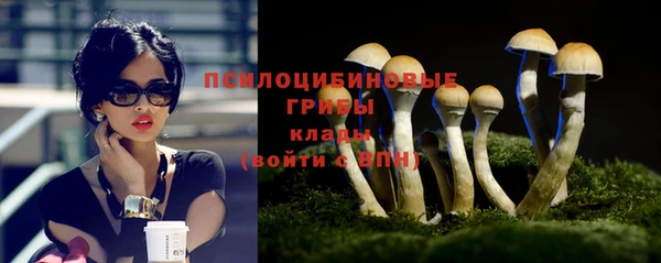 прущая мука Козельск