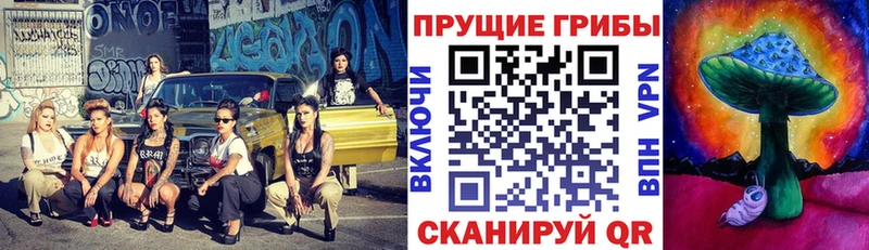 Галлюциногенные грибы GOLDEN TEACHER  закладки  Арсеньев 